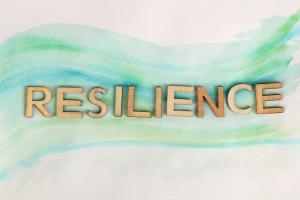 Getting to Resilience